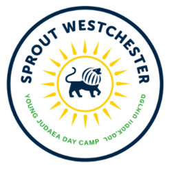 Westchester summer camps